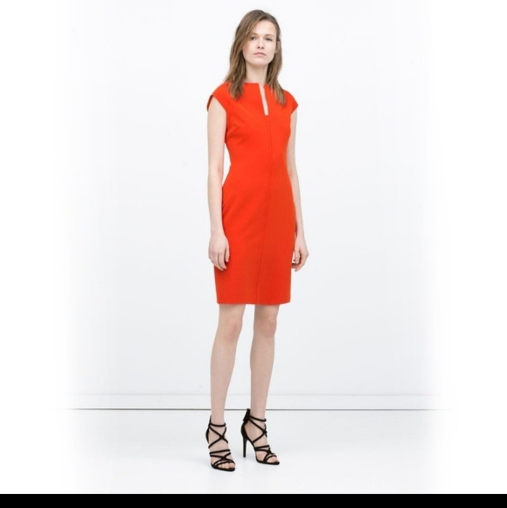 ZARA Bodycon Dress - Picture 7 of 8